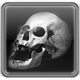 Icono de Skull Digital Clock Widget